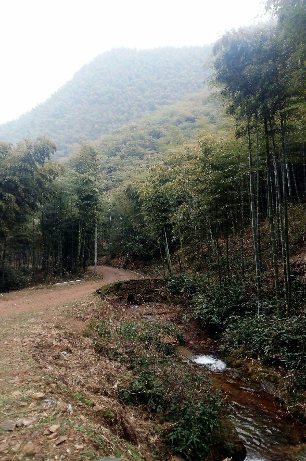 金志文山沟沟 金志文山沟沟中国好声音视频 