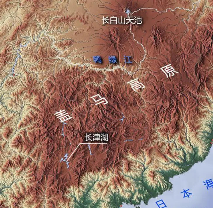 陶勇称左手很难复原 陶勇左手的伤是勋章 