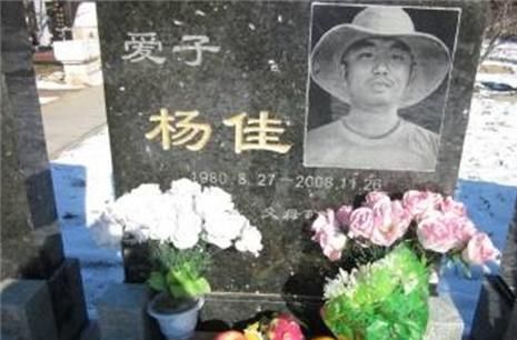 对于李天一杨佳的信息