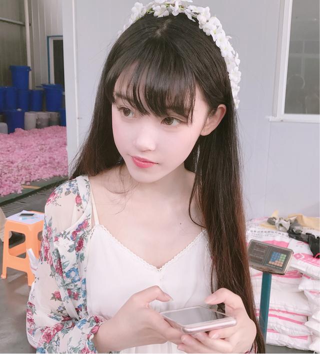 半藏丛林微博 半藏丛林微博主页 