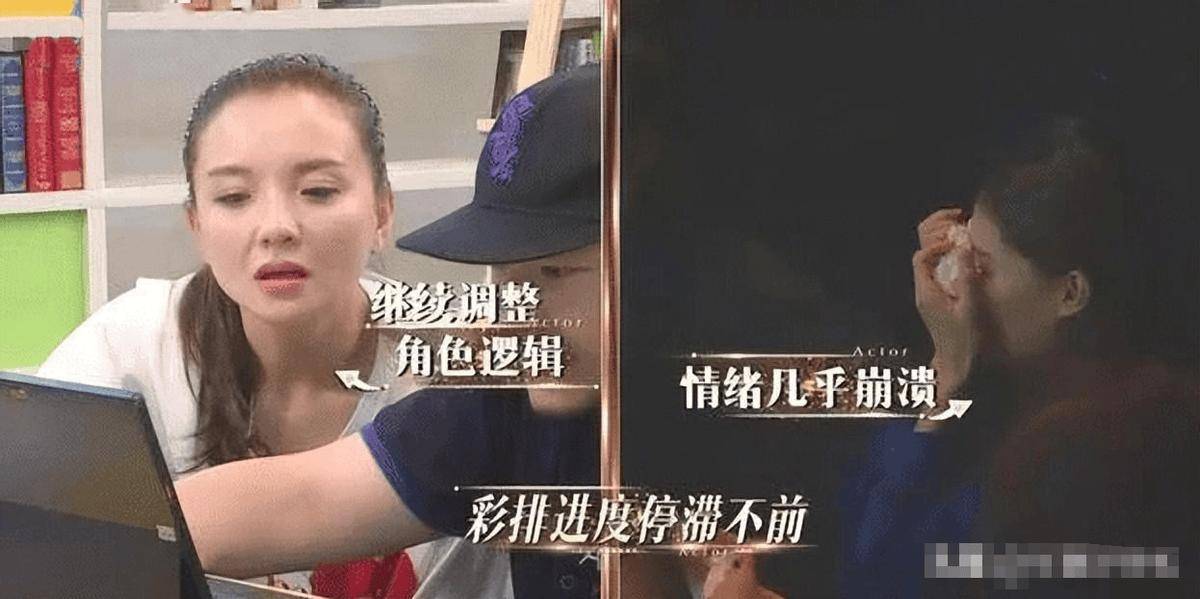 袁姗姗微博骂人 袁姗姗微博骂人图片 