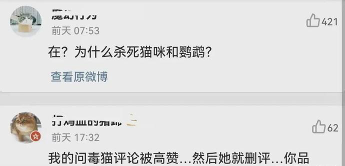 当家主母的猫入驻微博 当家主母是哪位言情小说家的作品 