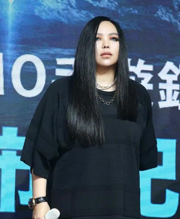 张惠妹演唱会照常举行 张惠妹演唱会照常举行的歌曲 