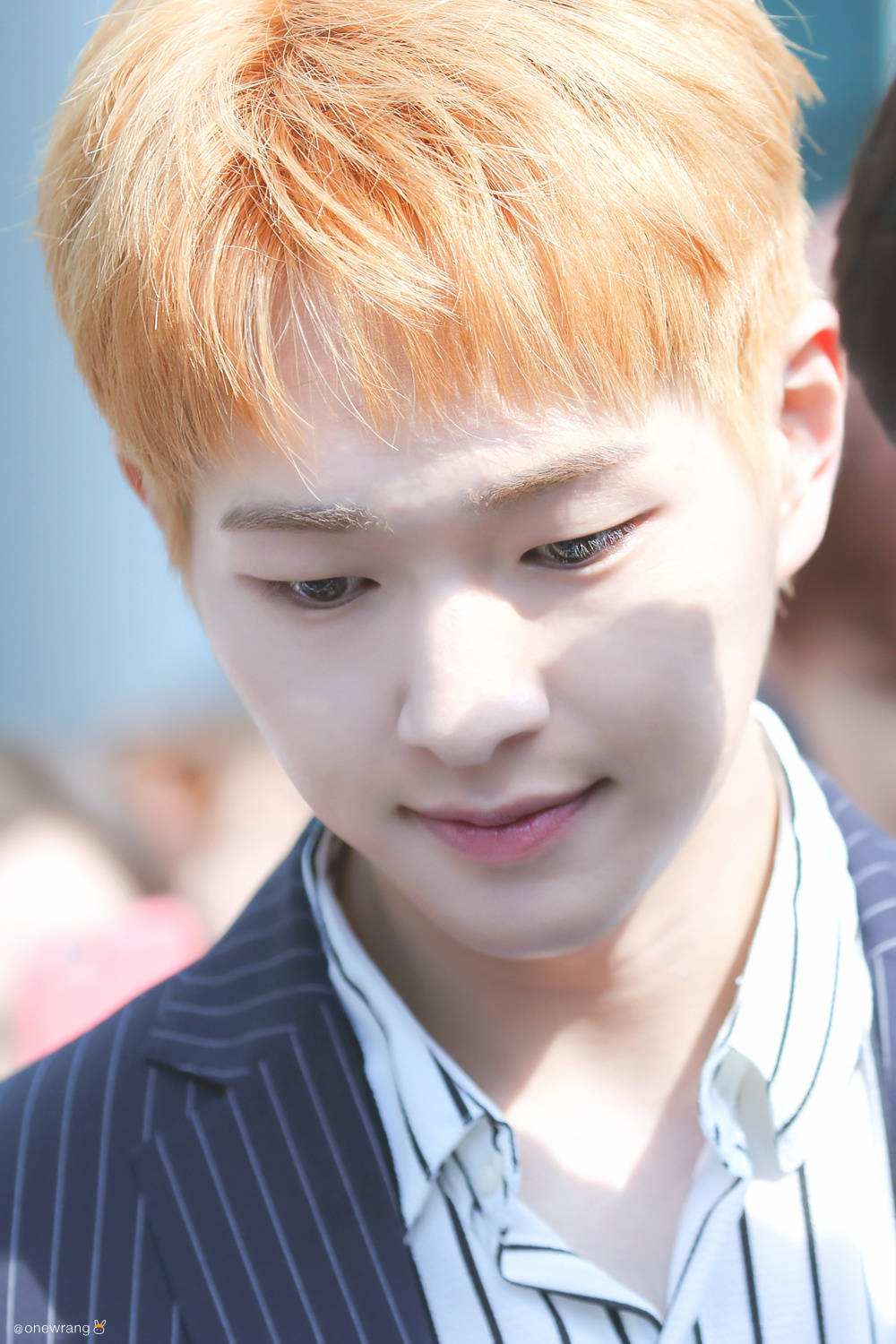 shinee娱乐百分百 娱乐百分百kid 