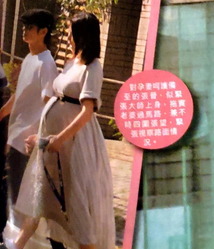蔡少芬怀三胎 蔡少芬怀三胎孕肚 
