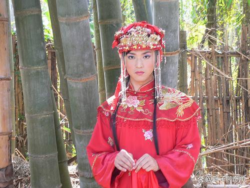 棉被妈觕白贼七 白贼七保举的up 