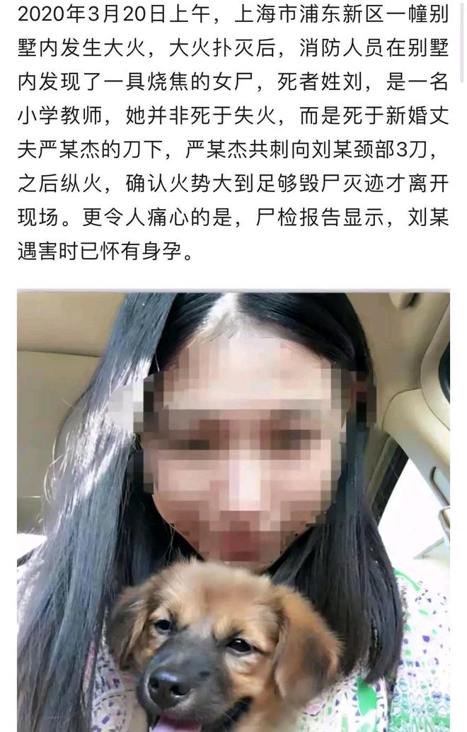 南京杀妻案小祁微博 南京杀妻案视频祁可欣 