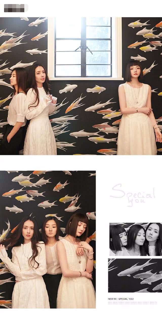郭碧婷闺蜜是高晓松前妻 郭碧婷闺蜜是高晓松前妻吗