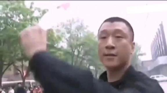 向华强黑社会事件 向华强黑社会?