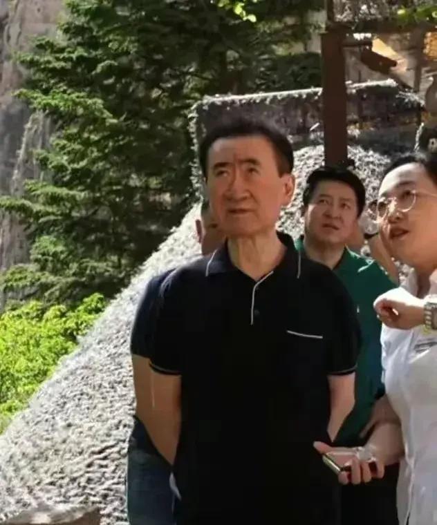 王健林只剩皮包骨头 王健林该死 