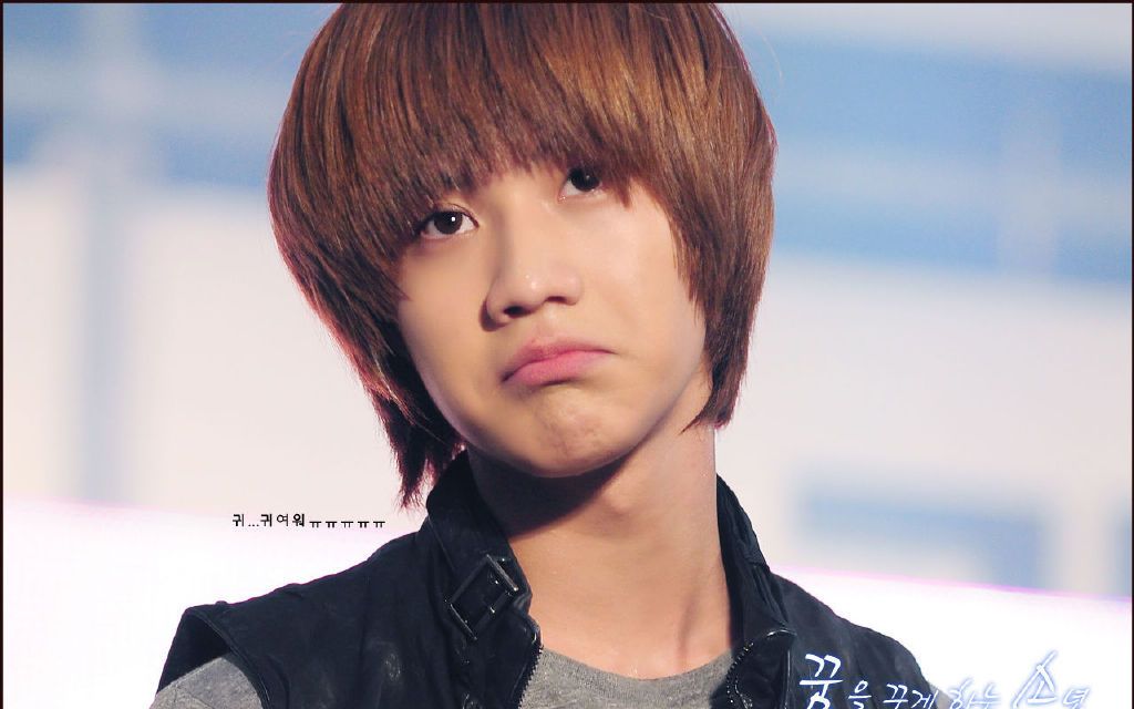 shinee娱乐百分百 shinee在韩国的位置 