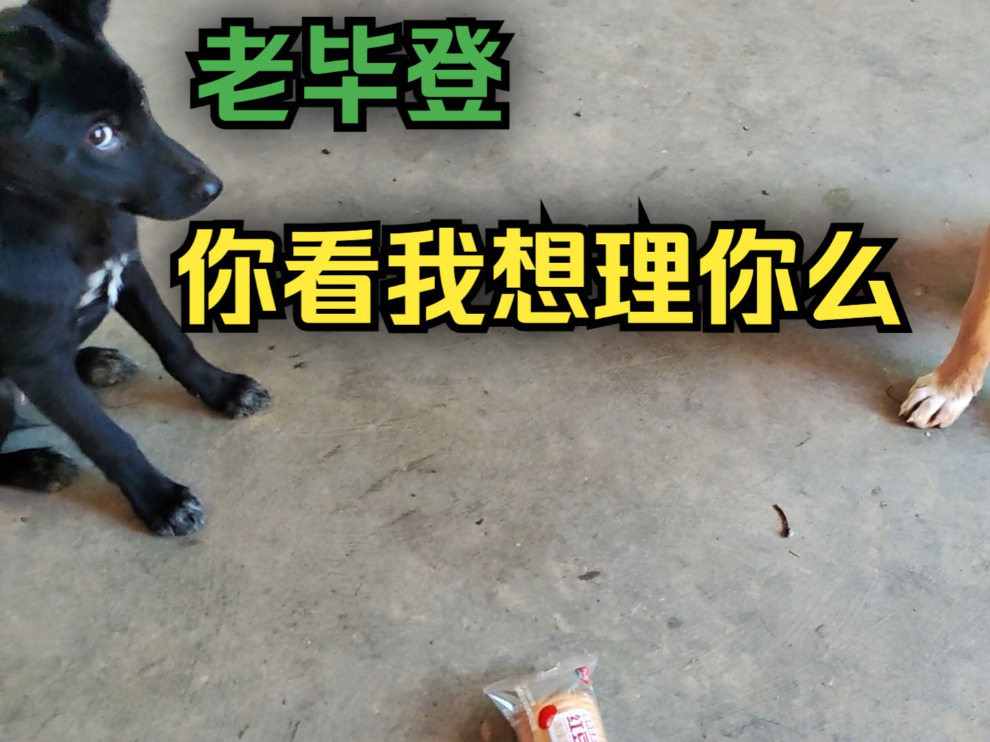 老毕怎么了 星光大道主持人老毕怎么了 老毕怎么了 星光大道主持人老毕怎么了