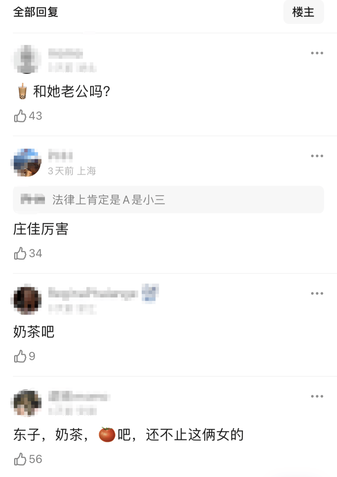 庄佳 庄佳慧 