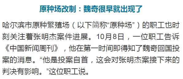 魏奇返国投案 红通人员魏奇返国投案 