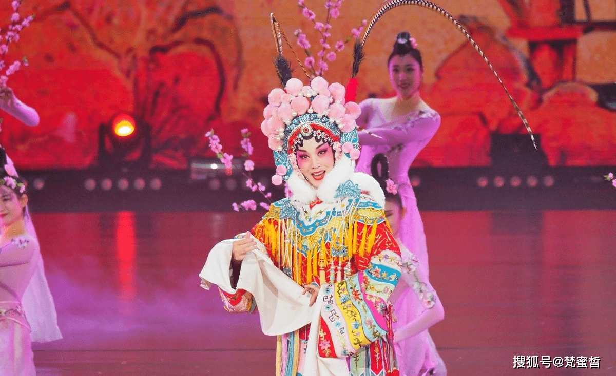 韩再芬老公 韩再芬老公刘太华是做什么的 