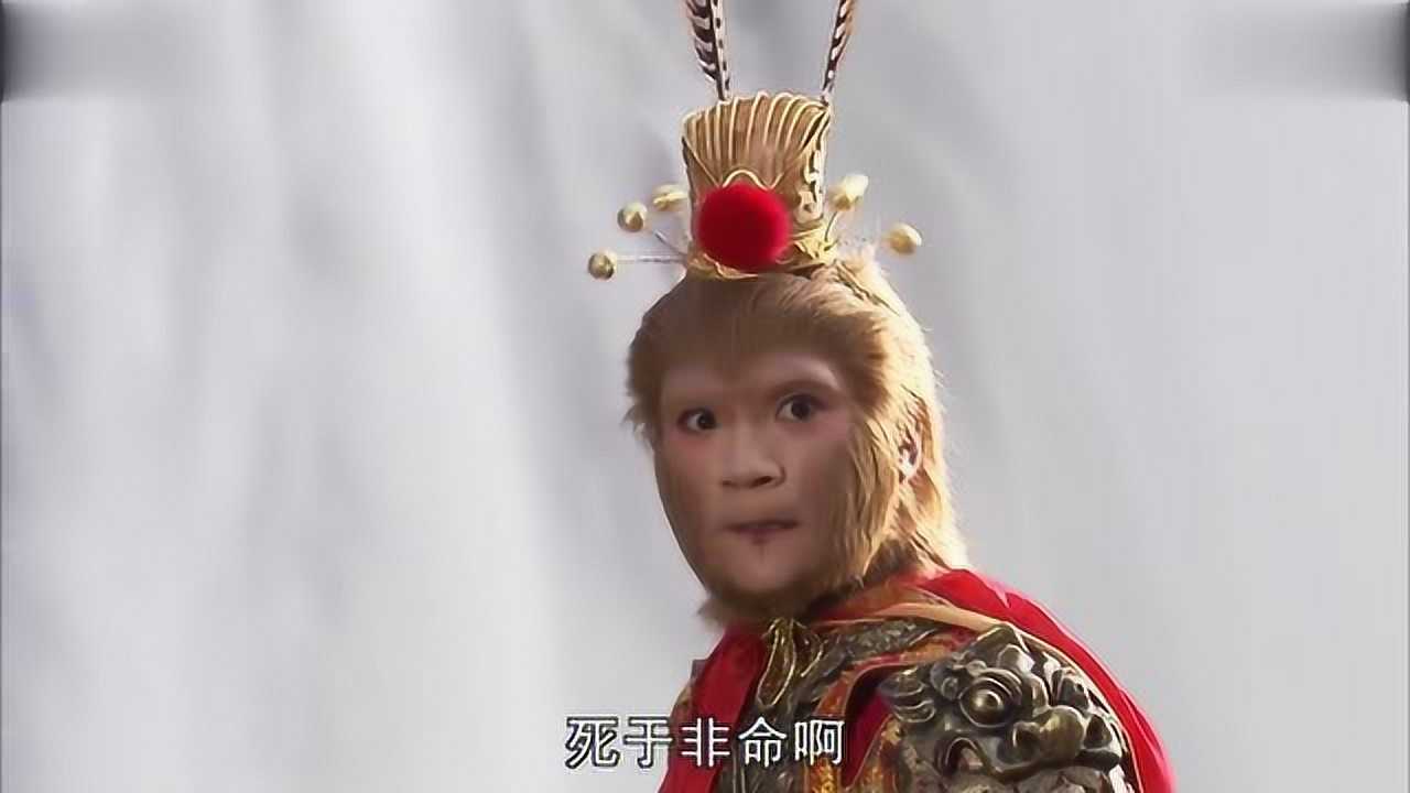 新西纪行孙悟空演员 新西纪行孙悟空演员名字 新西纪行孙悟空演员 新西纪行孙悟空演员名字