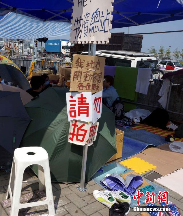 占中明星 占中名星