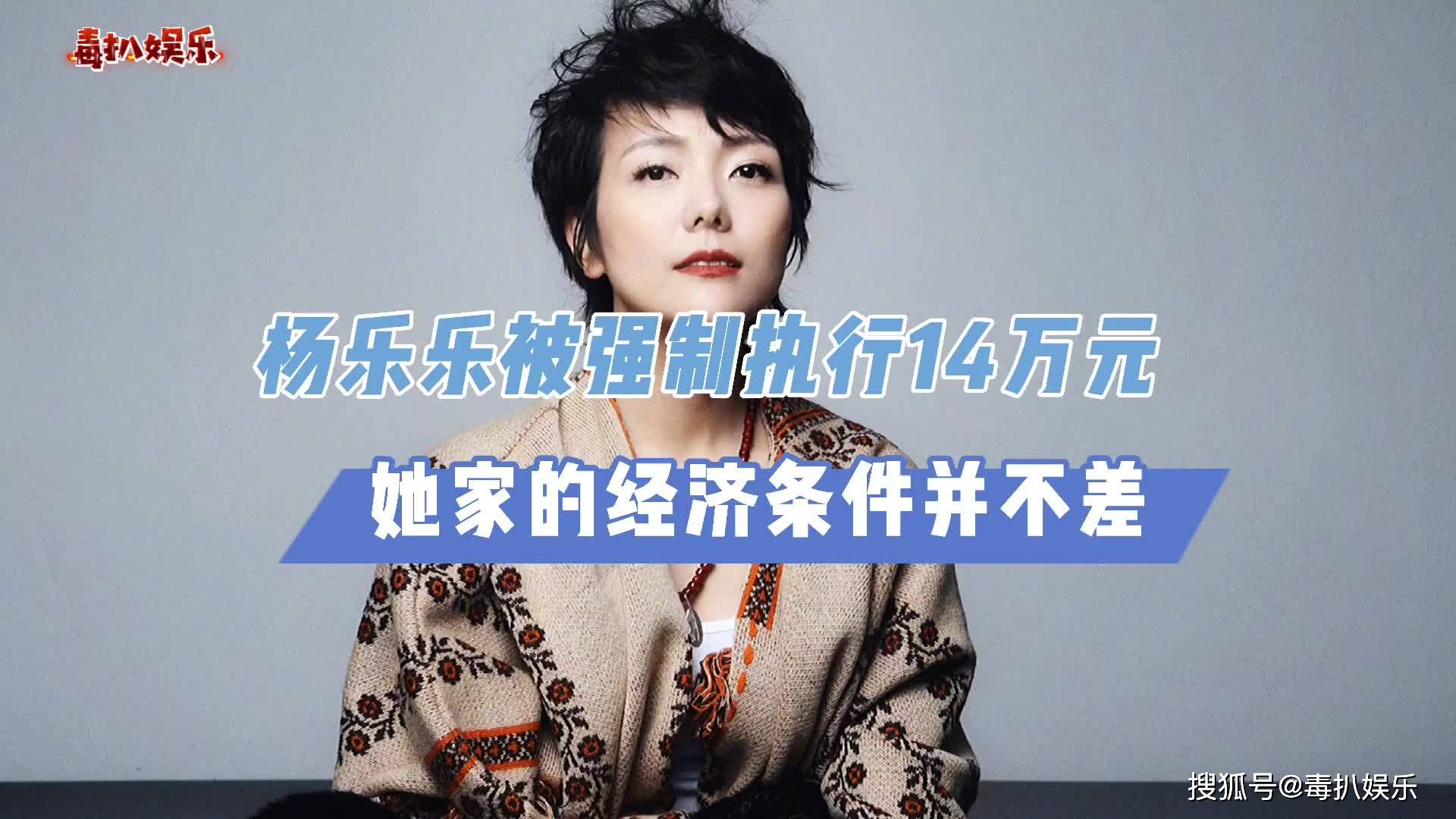 杨乐乐被强制执行 杨乐乐被法院强制执行