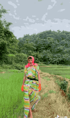 陆仙人团体资料 陆仙人团体资料简介照片模特陆仙人是谁是男是女? 陆仙人团体资料 陆仙人团体资料简介照片模特陆仙人是谁是男是女?