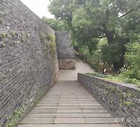 扔蛇门 踩了蛇一脚会怎么办 