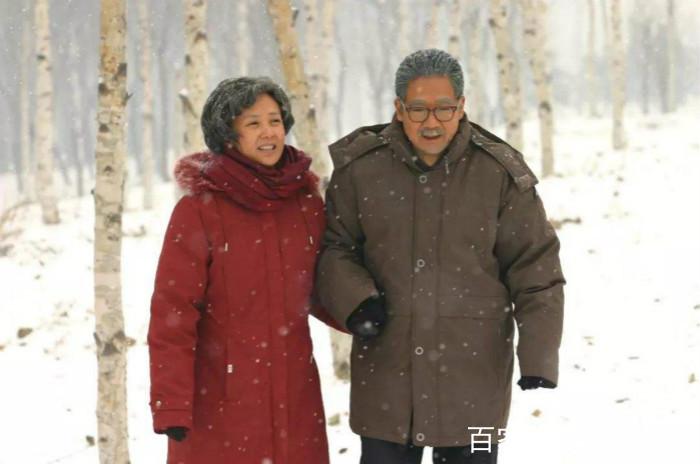 蒋雯丽国籍 蒋雯丽国籍曝光 