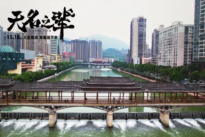 露台票房 露台影戏票房 
