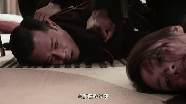 使徒行者2剧情介绍 使徒行者2 剧情介绍