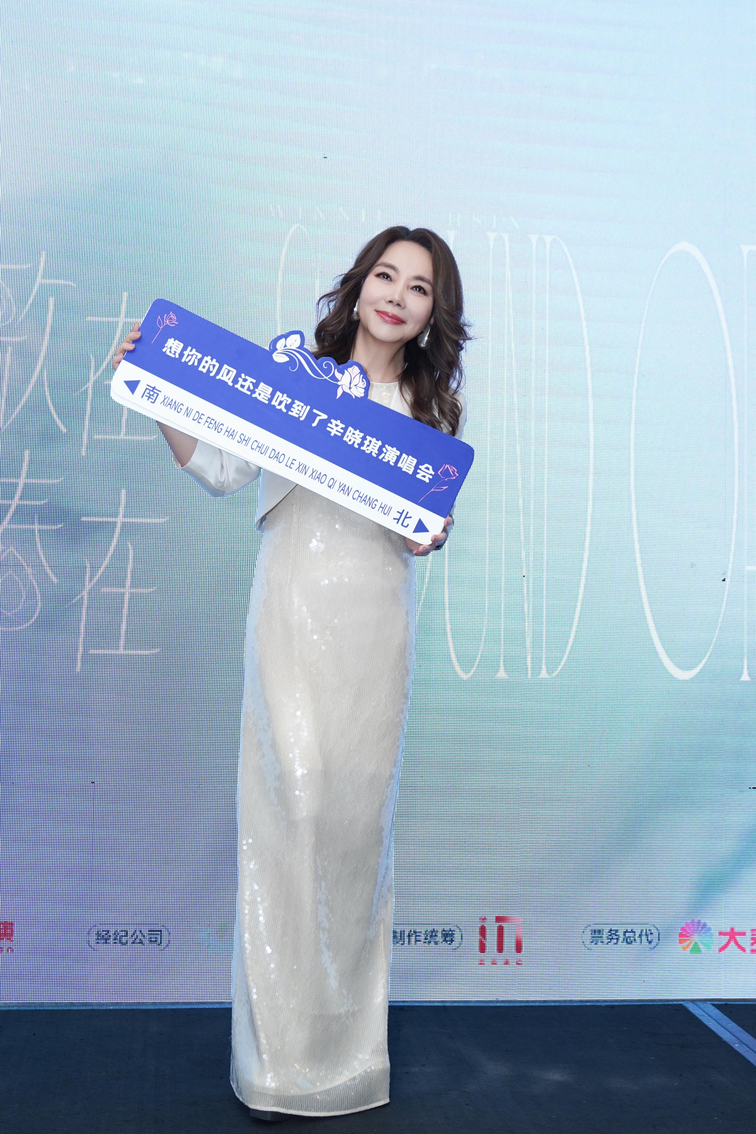 我是歌手辛晓琪 我是歌手辛晓琪亲爱的小孩 