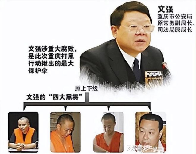张君文强 张君 文强
