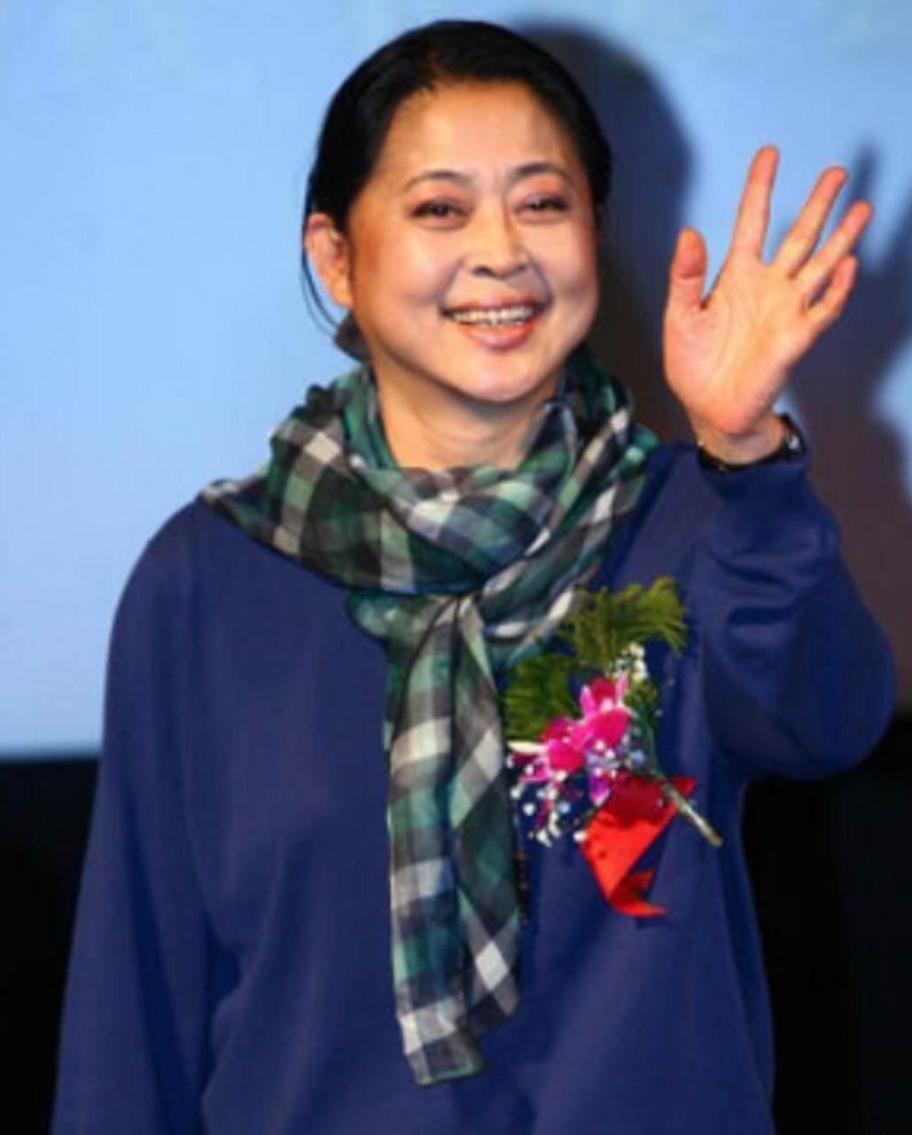 倪萍杨亚洲 倪萍杨亚洲仳离是真的吗 倪萍杨亚洲 倪萍杨亚洲仳离是真的吗