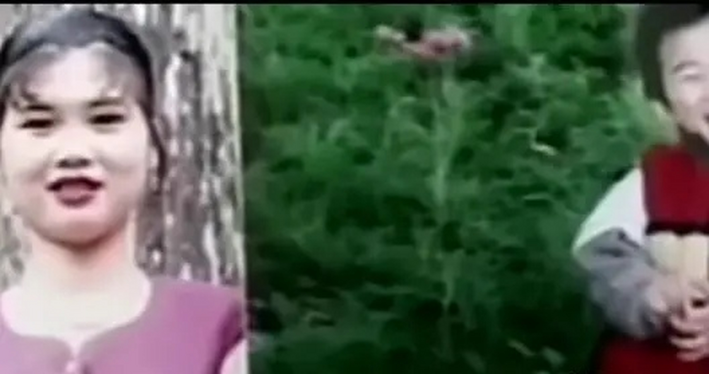 蓝可人凶手 蓝可人凶手自首 蓝可人凶手 蓝可人凶手自首