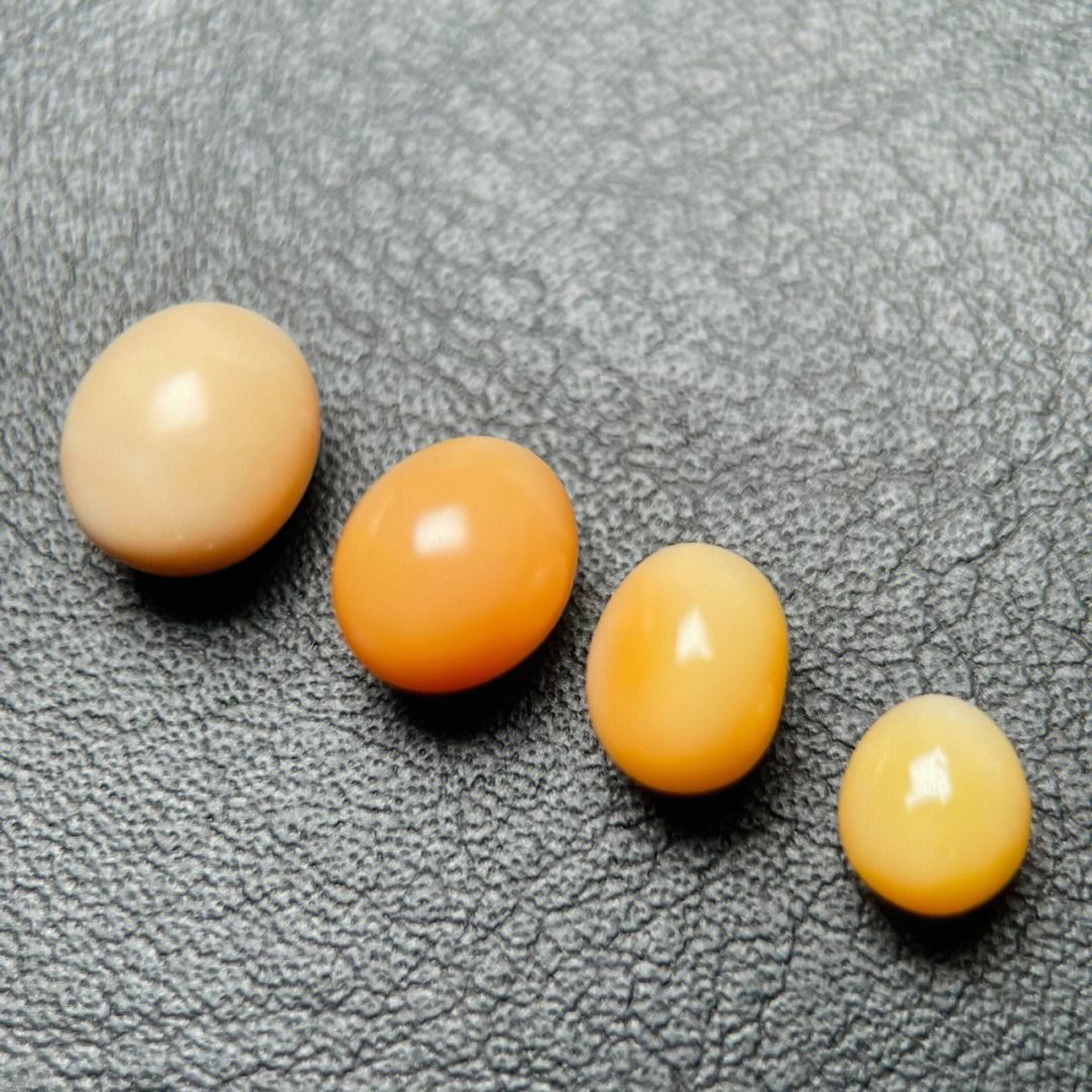 海螺珠价格 粉色海螺珠价格