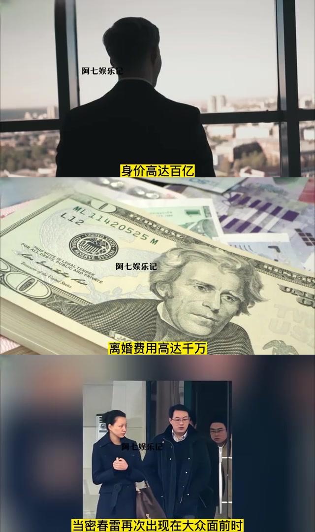 董卿丈夫密春雷被强制执行超7亿 董卿的老公密春雷是干什么的 