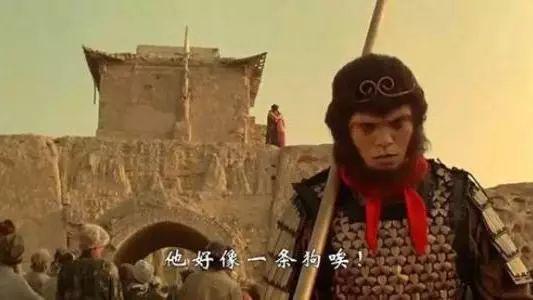 柴静周星驰 柴静周星驰采访想哭 