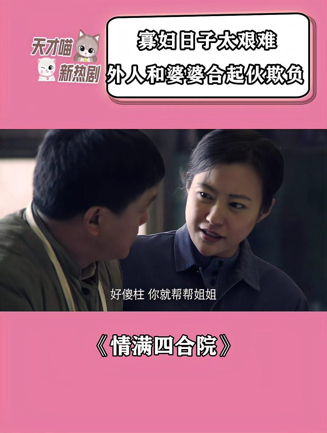 情满四合院剧情 情满四合院剧情解析