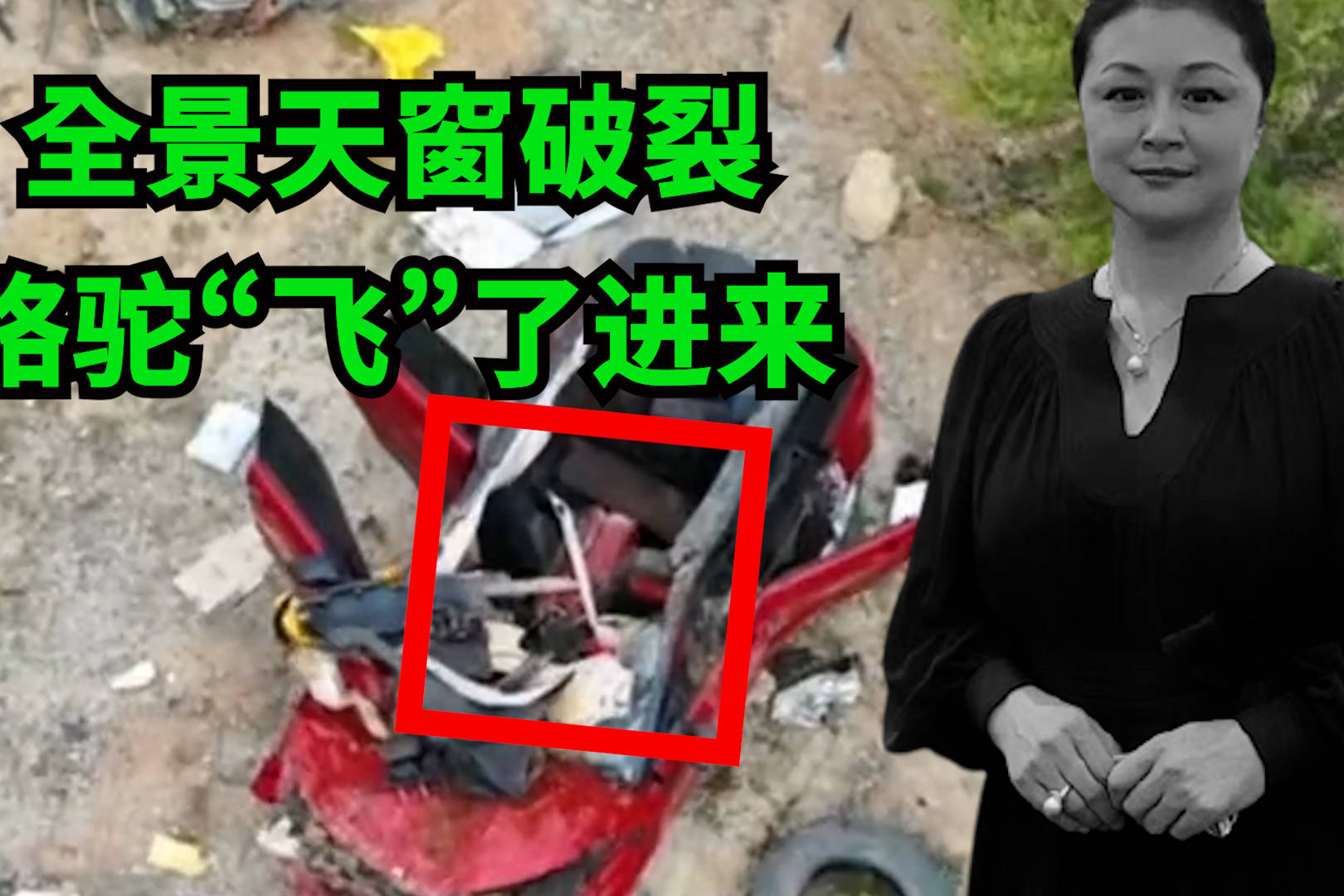 于月仙车辆撞骆驼 于月仙坐车撞骆驼