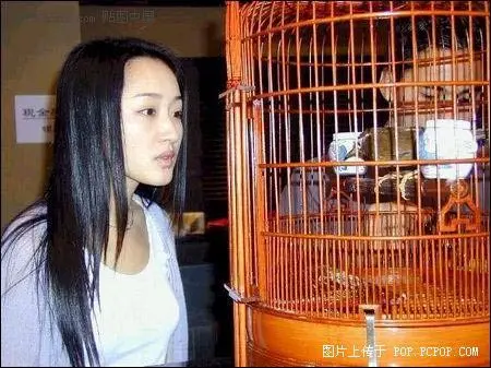 杨钰莹红楼 杨钰莹红楼 海角 杨钰莹红楼 杨钰莹红楼 海角
