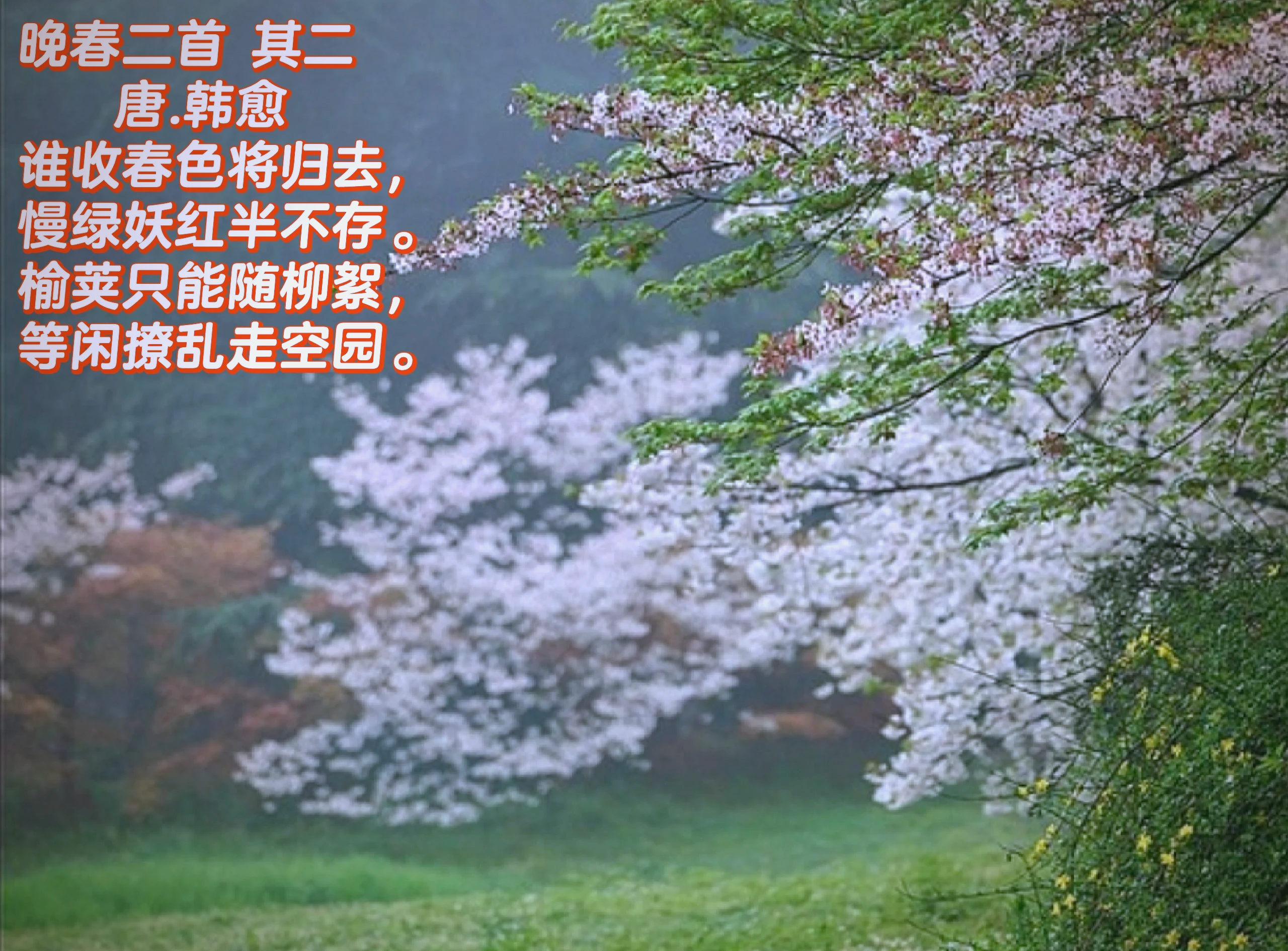 晚春心事 晚春心事残缺版 影戏 晚春心事 晚春心事残缺版 影戏