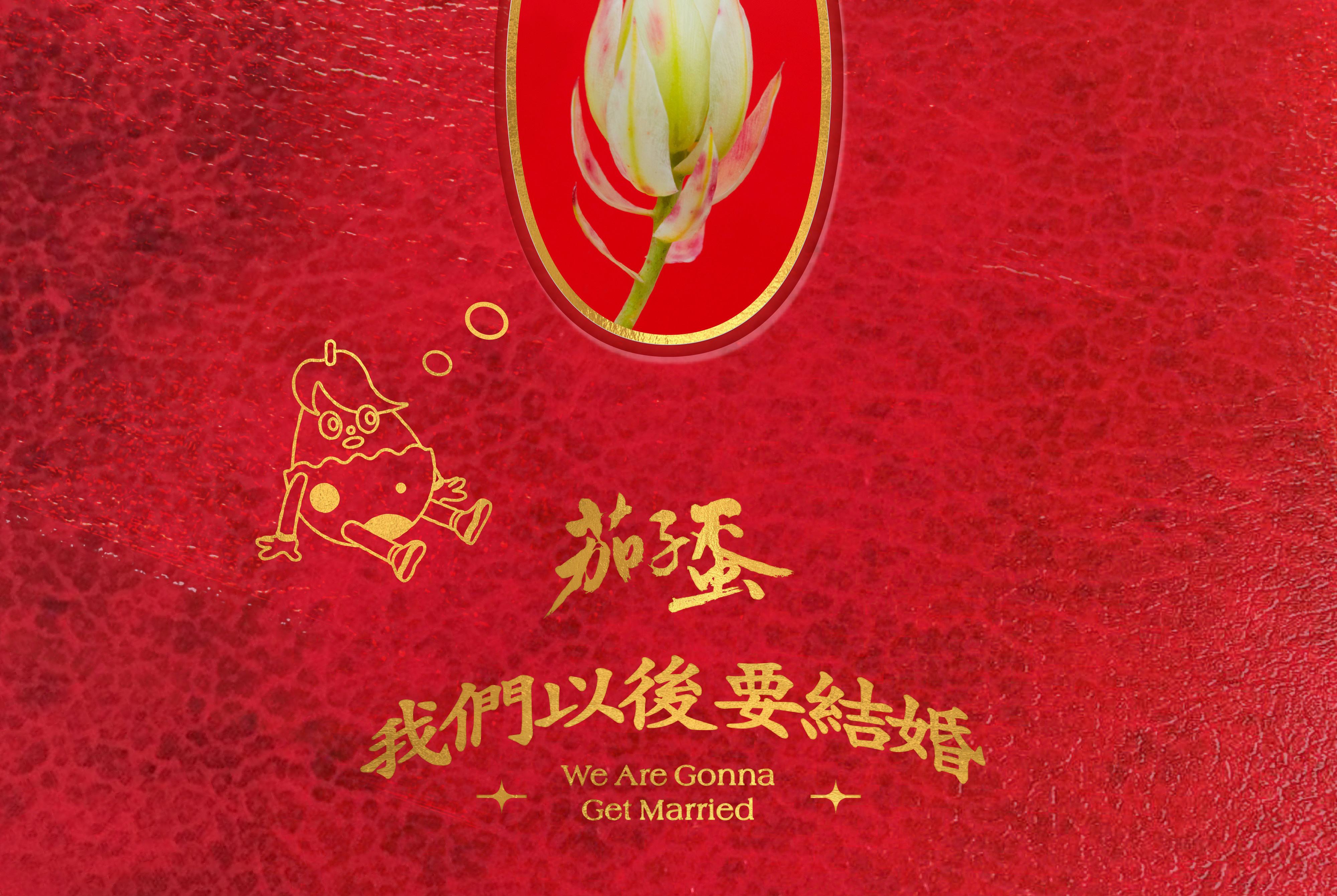 我们成婚了101204 我们成婚了英文 