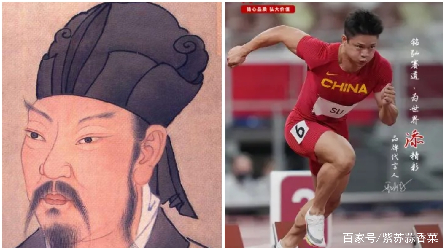 关于苏炳添是苏轼儿女尚待考据的信息 关于苏炳添是苏轼儿女尚待考据的信息