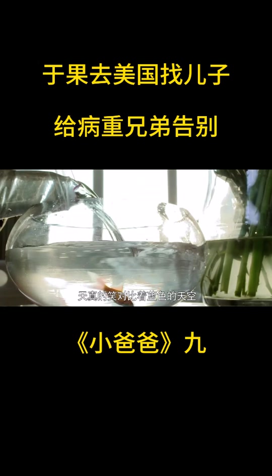 小爸爸夏天的饰演者 小爸爸夏天饰演者简介本年多大 小爸爸夏天的饰演者 小爸爸夏天饰演者简介本年多大
