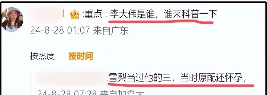 雪梨老公是干什么的 雪梨老公叫啥 