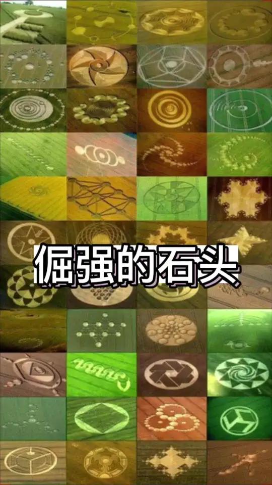 石头事件 石头vlog 石头事件 石头vlog