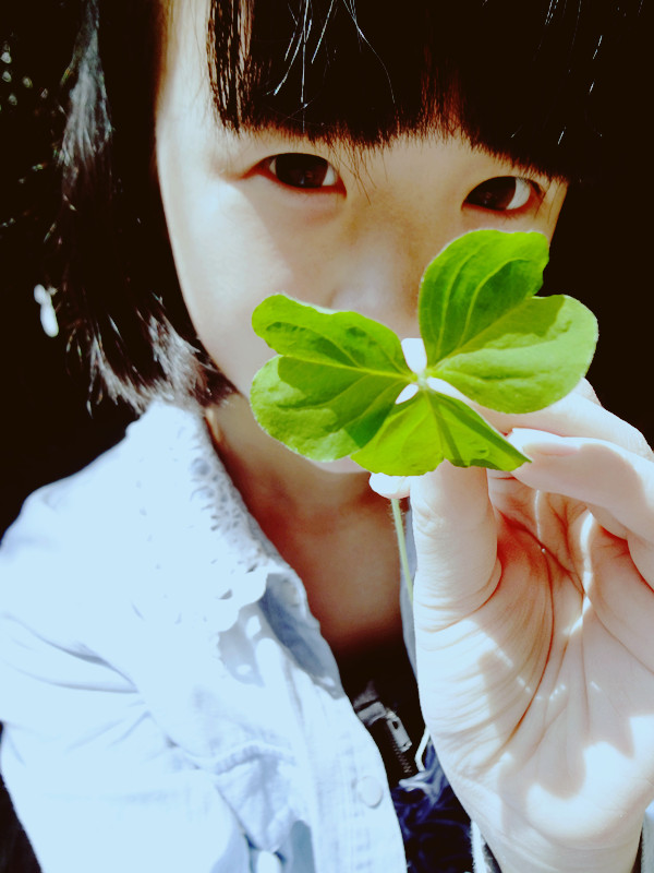 王清媛吧 黑龙江王清源简历