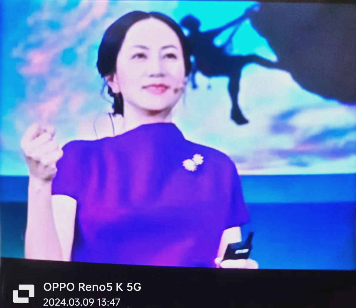 任正非前妻 任正非前妻 