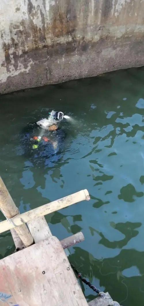 南宁捡死鱼事件 南宁捡死鱼事件最新停顿 