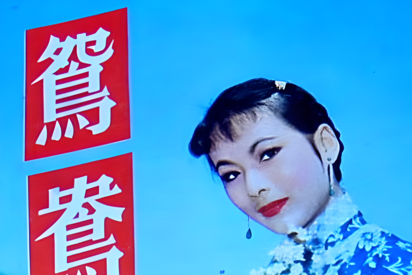欧佳慧团体资料 欧佳慧团体资料图片 欧佳慧团体资料 欧佳慧团体资料图片