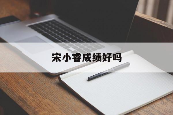 宋小睿成绩好吗 宋小睿成绩好吗 小学 